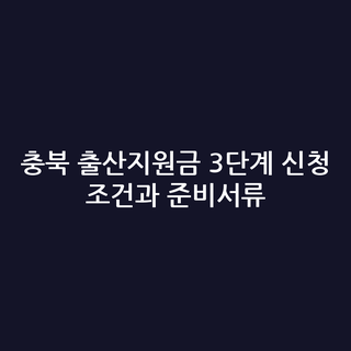 충북 출산지원금 3단계 신청 조건과 준비서류