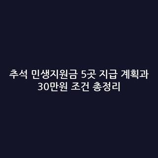추석 민생지원금 5곳 지급 계획과 30만원 조건 총정리
