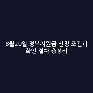 8월20일 정부지원금 신청 조건과 확인 절차 총정리