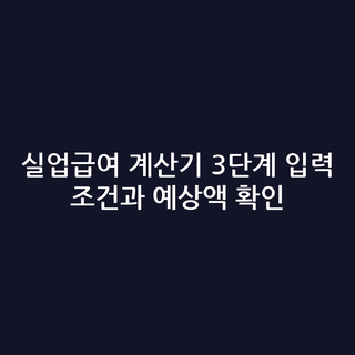 실업급여 계산기 3단계 입력 조건과 예상액 확인
