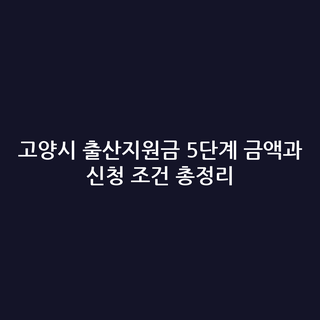고양시 출산지원금 5단계 금액과 신청 조건 총정리