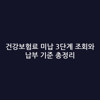 건강보험료 미납 3단계 조회와 납부 기준 총정리