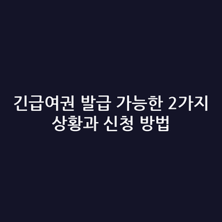 긴급여권 발급 가능한 2가지 상황과 신청 방법