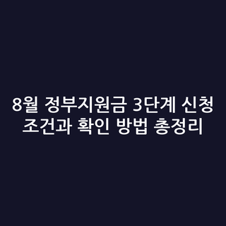8월 정부지원금 3단계 신청 조건과 확인 방법 총정리