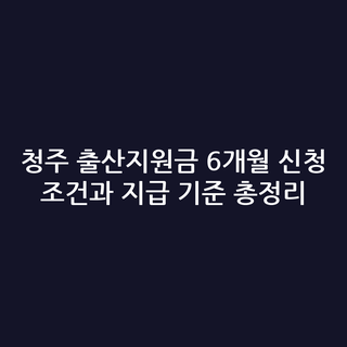 청주 출산지원금 6개월 신청 조건과 지급 기준 총정리