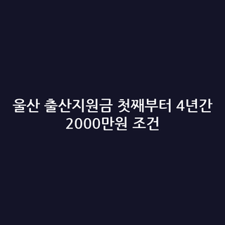 울산 출산지원금 첫째부터 4년간 2000만원 조건