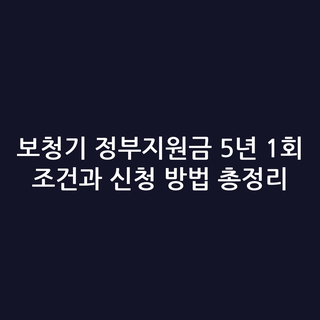 보청기 정부지원금 5년 1회 조건과 신청 방법 총정리