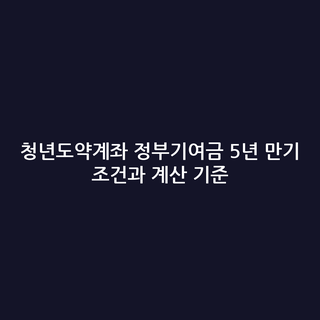 청년도약계좌 정부기여금 5년 만기 조건과 계산 기준