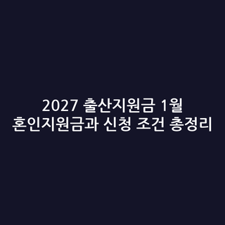 2027 출산지원금 1월 혼인지원금과 신청 조건 총정리