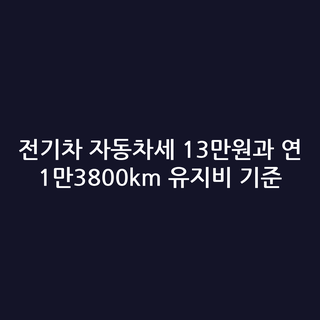 전기차 자동차세 13만원과 연 1만3800km 유지비 기준