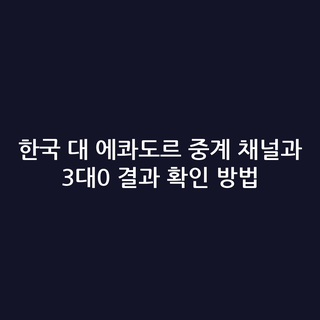 한국 대 에콰도르 중계 채널과 3대0 결과 확인 방법