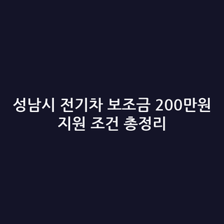 성남시 전기차 보조금 200만원 지원 조건 총정리