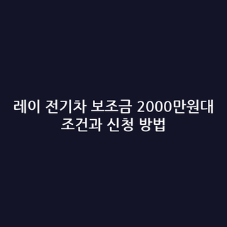 레이 전기차 보조금 2000만원대 조건과 신청 방법