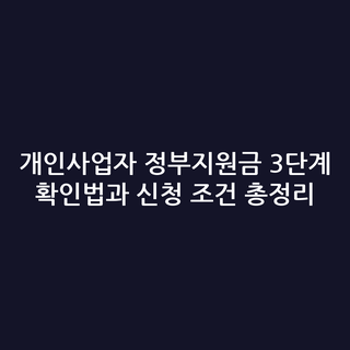 개인사업자 정부지원금 3단계 확인법과 신청 조건 총정리