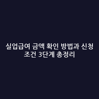 실업급여 금액 확인 방법과 신청 조건 3단계 총정리