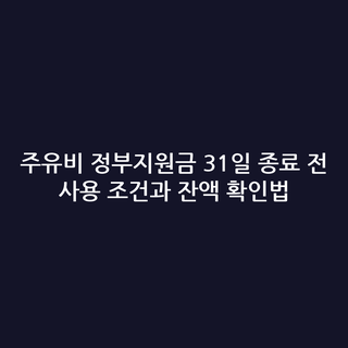 주유비 정부지원금 31일 종료 전 사용 조건과 잔액 확인법